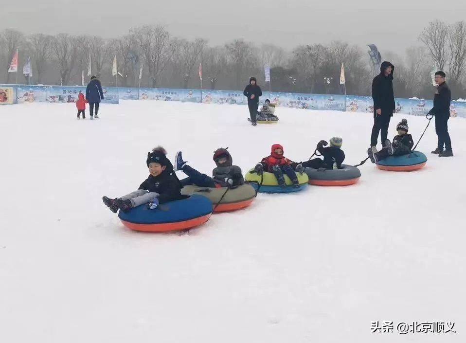 顺义冰雪活动精彩纷呈，快来这两处开启玩雪之旅~