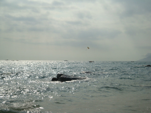 西安到三亚旅游攻略自由行费用,海南旅游攻略自由行三亚最佳路线