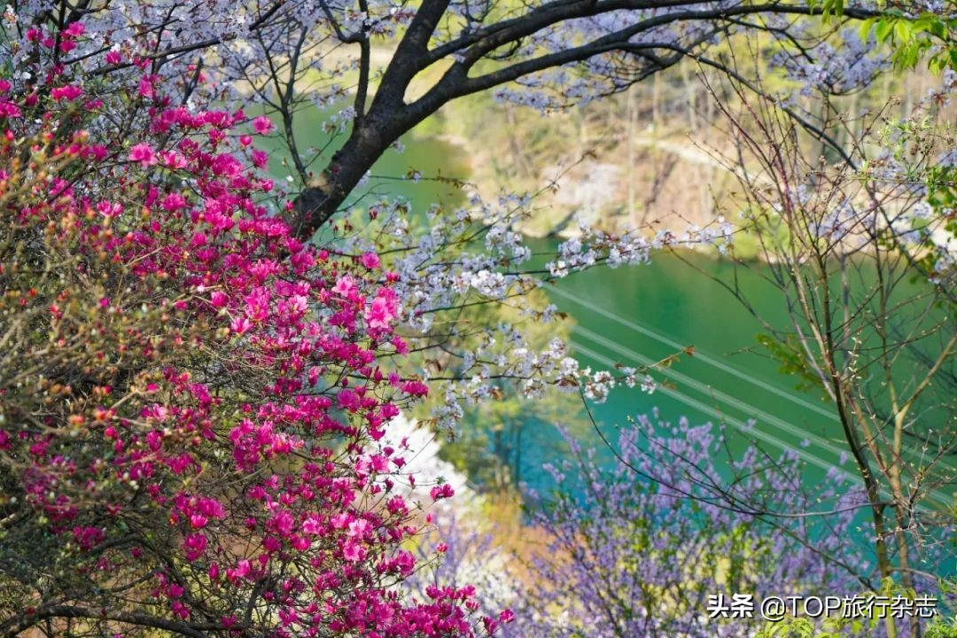 武汉啊武汉歌词,武汉啊武汉歌曲作者