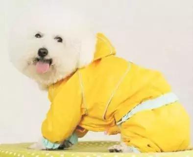 疯了！为了能和中国人一起过双十一，老外们绞尽脑汁