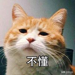 膜法世家泥膜淡斑,膜法世家泥膜美白祛斑