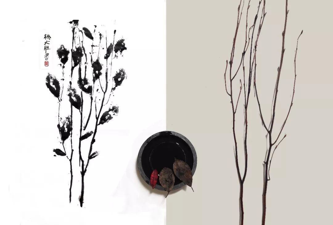 她31岁放弃北漂高薪，回归森林“捡垃圾”，用树叶打造出人间仙境