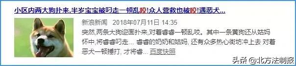 女子遛3只狗不牵绳！湖北男子遭狗撕咬*体下**受伤严重，缝了30多针