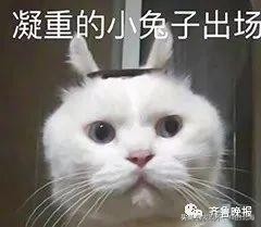 淘宝为什么能赚这么多钱,淘宝到底靠什么赚钱