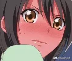 特大网络组织淫秽表演案告破,警方破获特大淫秽表演案