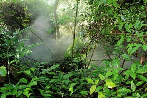 广东适合治愈心情的地方,旅游治愈心情的地方