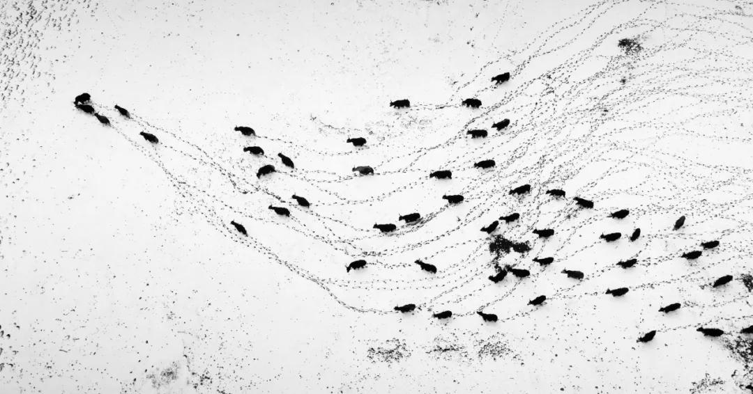 香港第14届全国摄影艺术展,第29届全国摄影艺术展览获奖名单