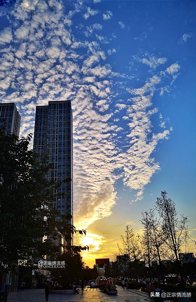 夜色成都串串爽,魅力小金苹果香#国庆中秋趣哪玩#