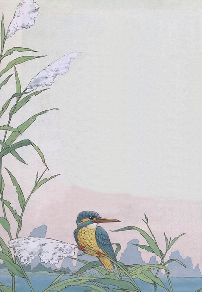 不同年代的小学课文插图,小学课文插图还记得多少