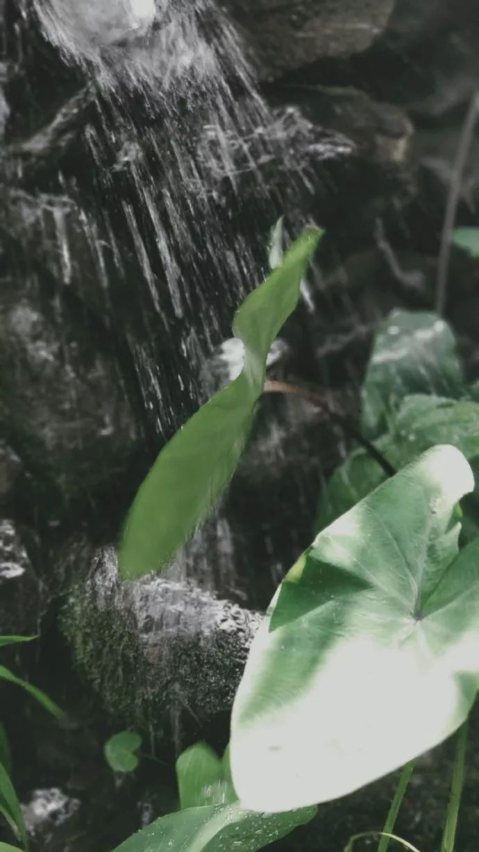 10年前，那个花83元穷游*藏西**的姑娘，后来怎么样了？