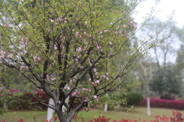 南昌华南城开工了吗,南昌复工复产最新通告