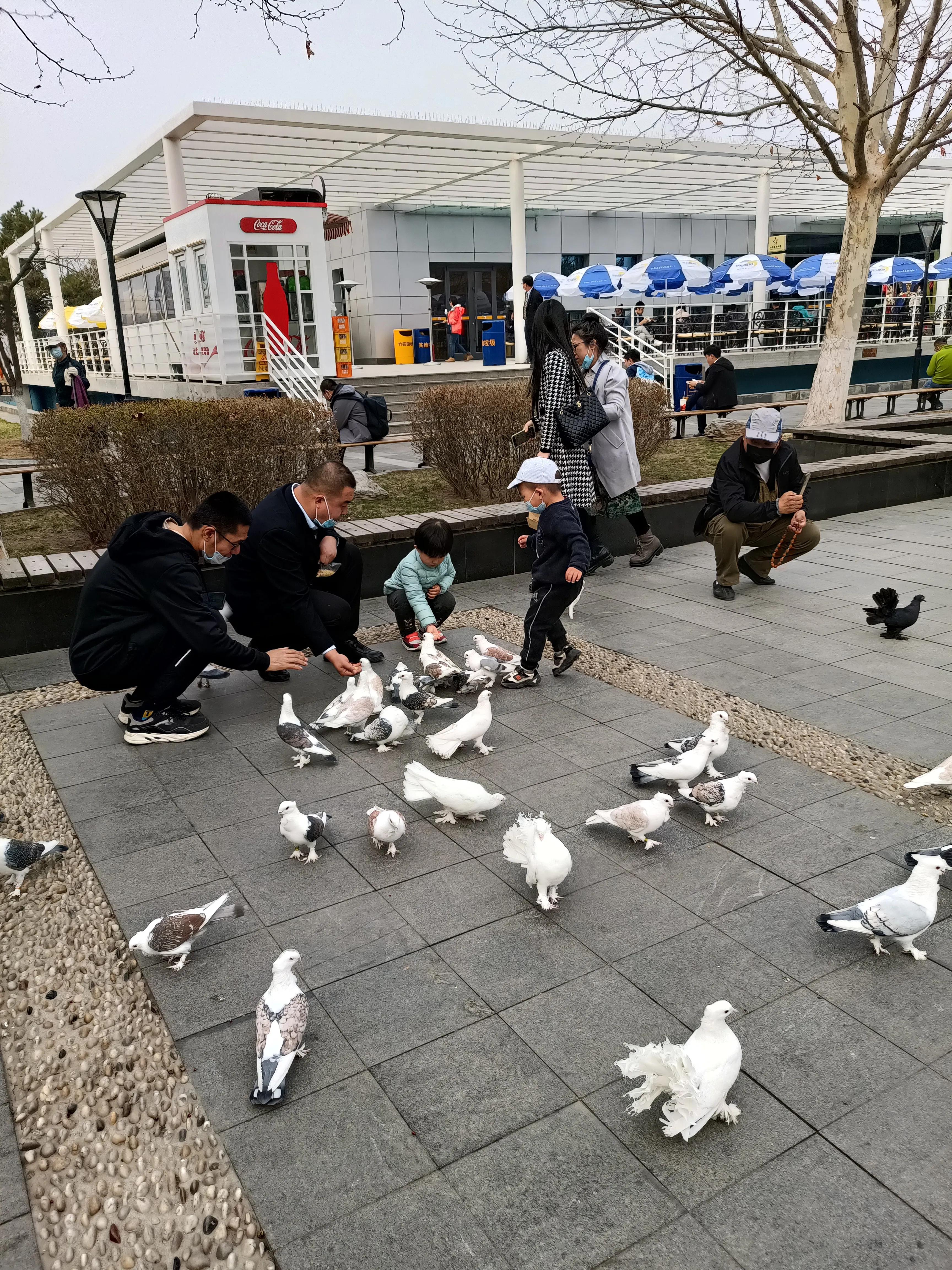 东方时尚驾校微博,东方时尚驾校相关视频