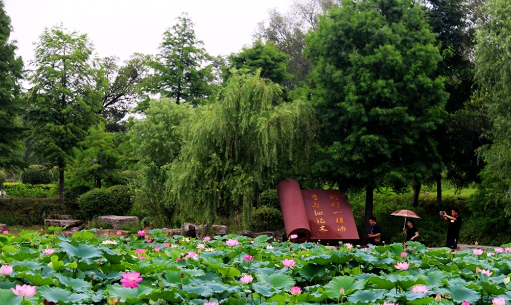 济宁古八景介绍,济宁古八景在哪里