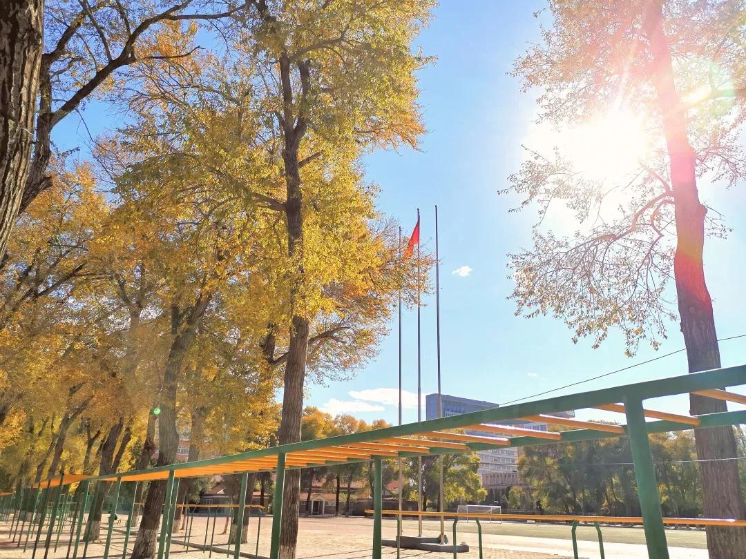 辽宁工程技术大学辽宁省分数线,辽宁工程技术大学在辽宁省排名