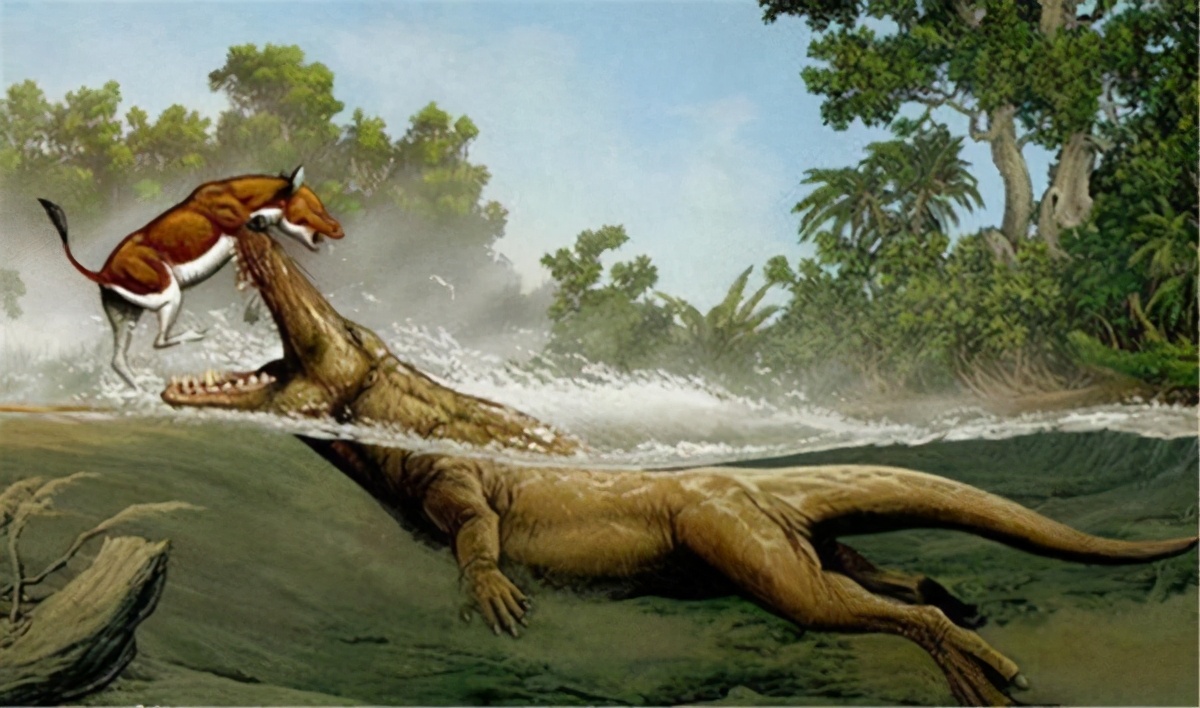 鲸不是鱼为何还被称为鲸鱼,鲸从陆地到海的进化史