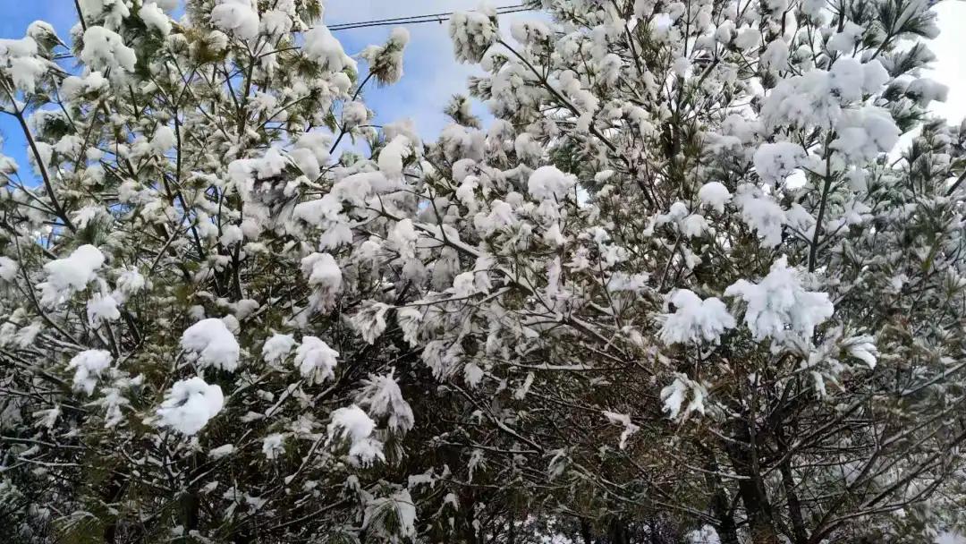 2024攀枝花旅游,攀枝花旅行榜单