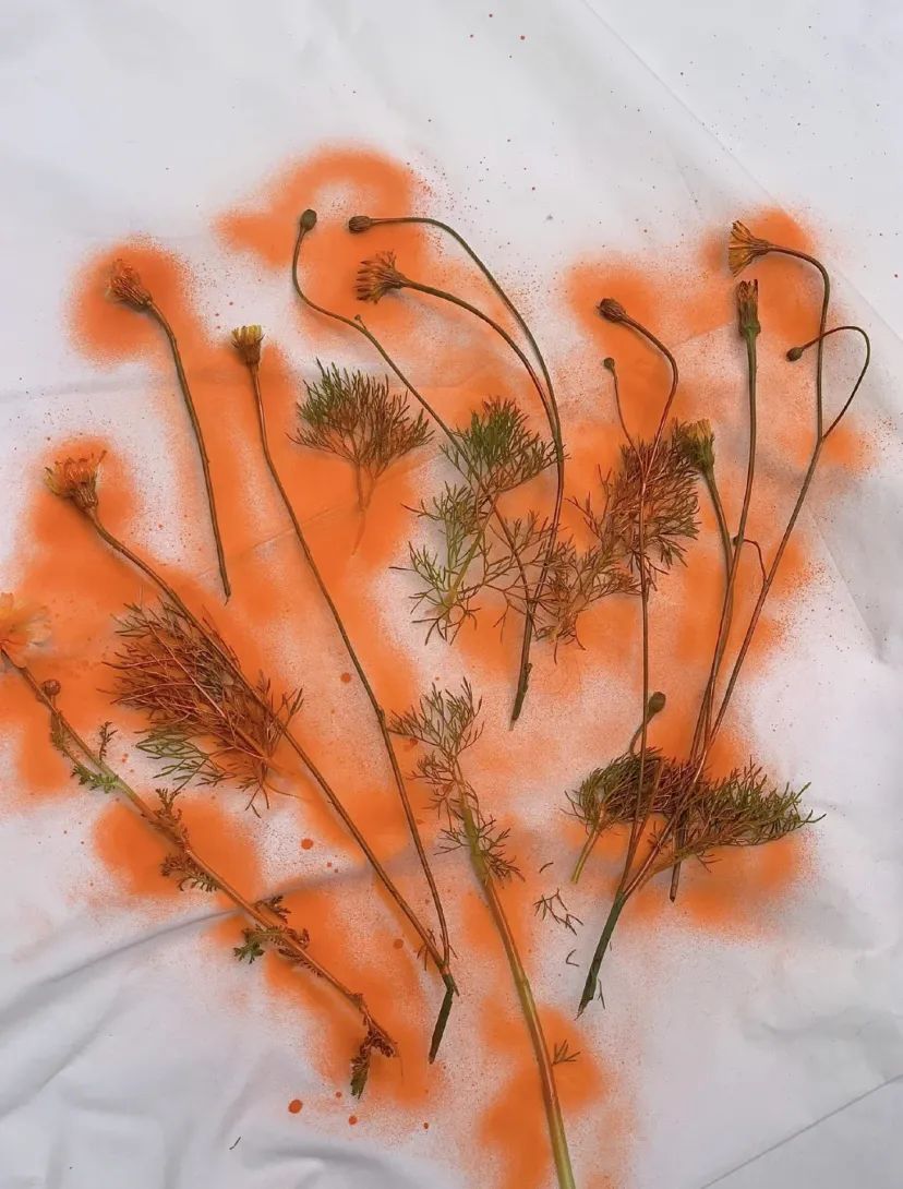 这些比高定还稀缺的单品,居然不用花一分钱