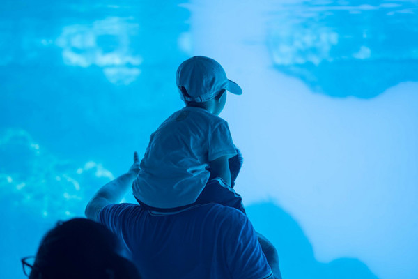 珠海长隆旅游攻略一天自由行,珠海长隆旅游攻略三天自由行