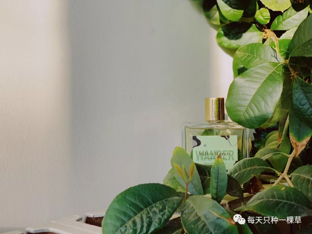 买了这么多的东西都是为了什么,买了这么多口红哪一支是你的真爱