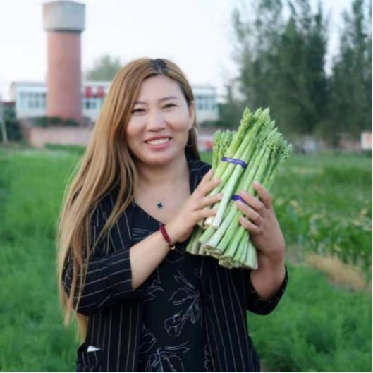 亩产万元，情暖百姓！——看鹤壁最美芦笋姐刘海燕如何带村民致富