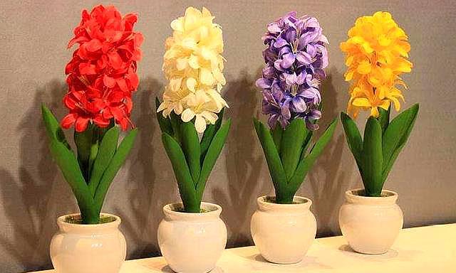 风信子开完花后怎么处理视频,风信子开花后怎么处理种球