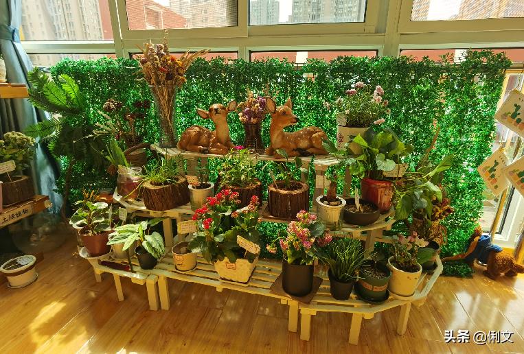 品名园、办高质量的教育——河南省名园园本课程建设交流活动