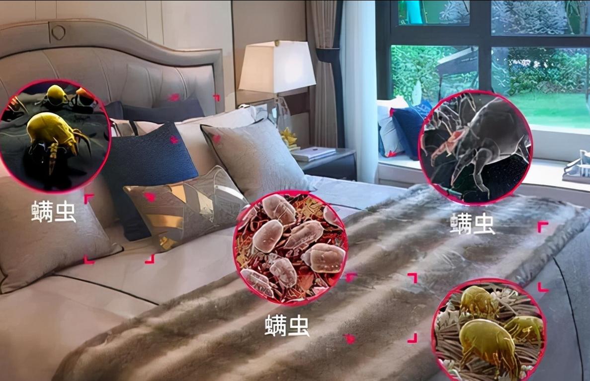 被子有臭味要怎么去除,被子有臭味怎么去除