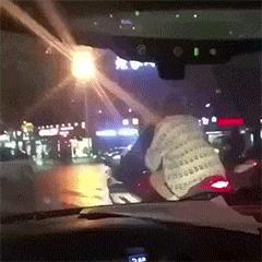 搞笑动图gif图片合集,搞笑动图gif微信可爱表情包