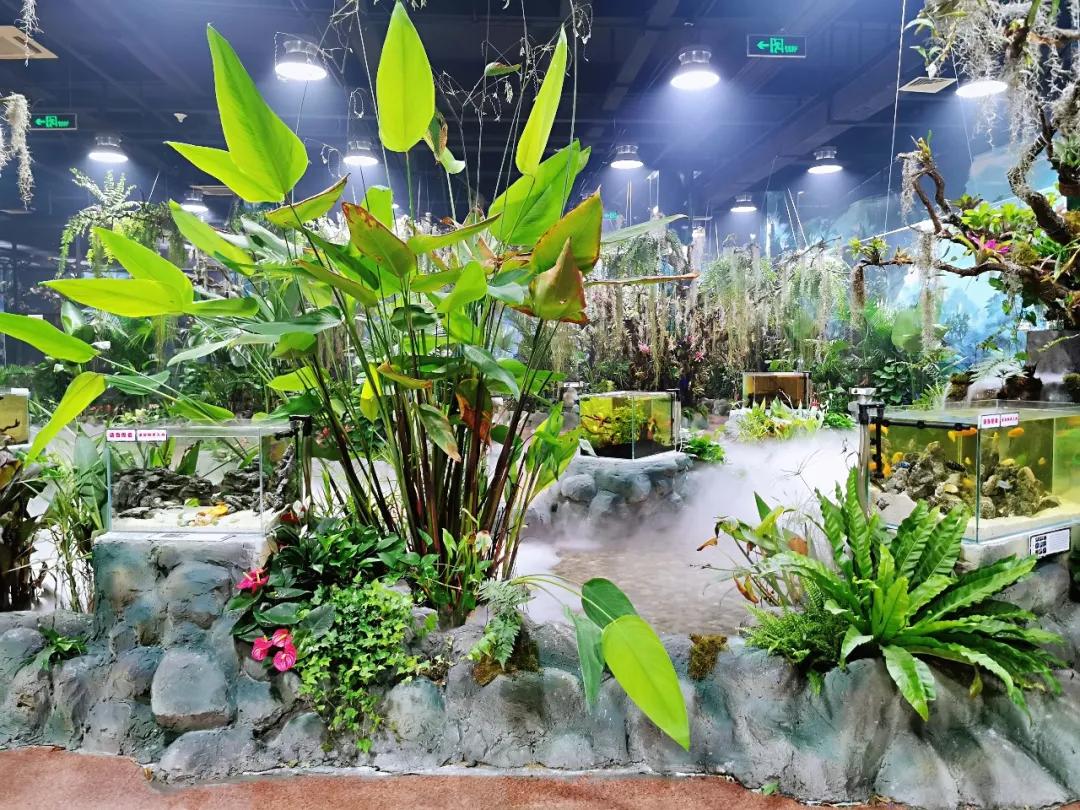 济南遛娃室内去哪里玩,济南遛娃好玩的地方