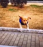 家里一处漏电处处漏电么,家用线路漏电怎么解决