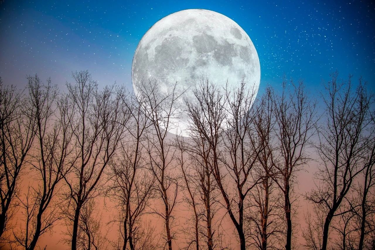 中秋十大绝美诗句摘选,最值得学的一首中秋诗词