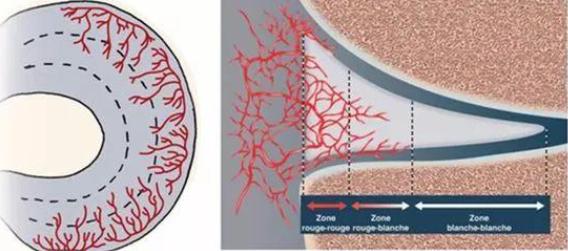 跑步爬楼梯腿会变粗嘛,爬山跑步会磨没软骨吗