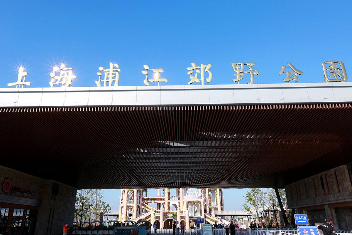 魔都带娃去哪里好玩,魔都周末遛娃好去处