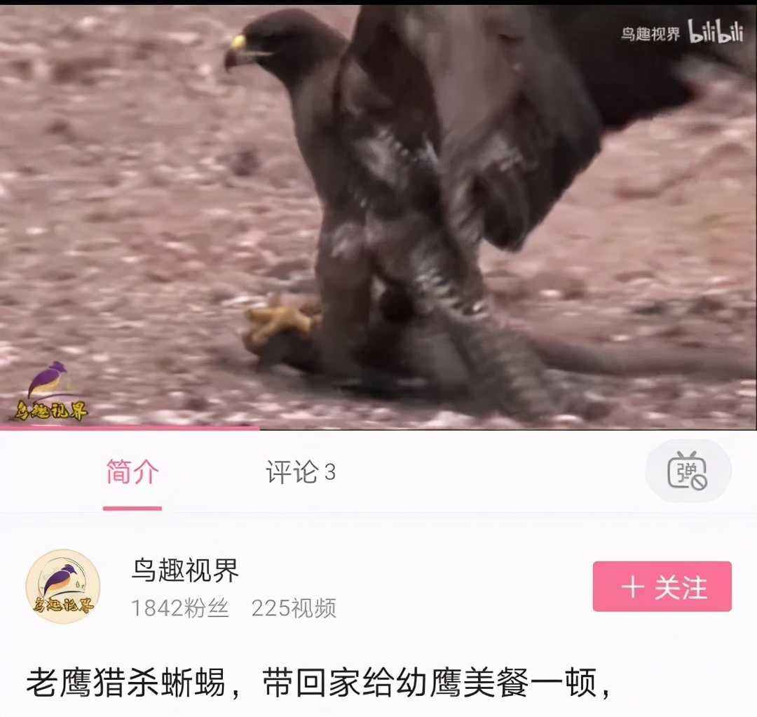 raz启蒙2岁,raz启蒙有用吗