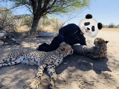 假期撒手没的戏精同事们,竟然在我挤春运的时候吹海风??(下)