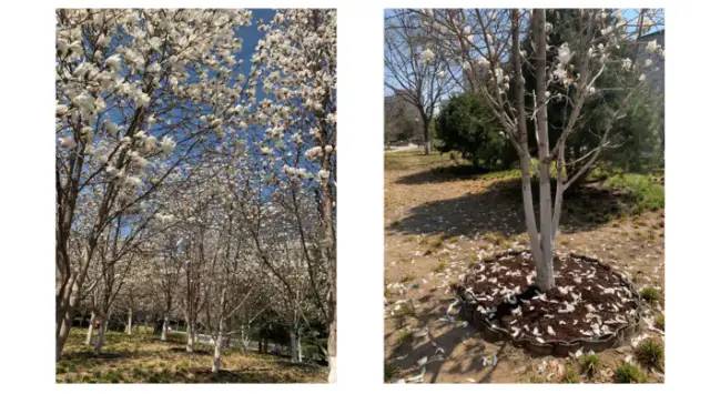 期末庆典〡诗酒趁年华:读写起来,讲玩起来,串烧起来,演唱起来