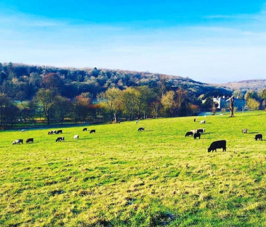 instagram最受欢迎标签,instagram最受欢迎的十大网红