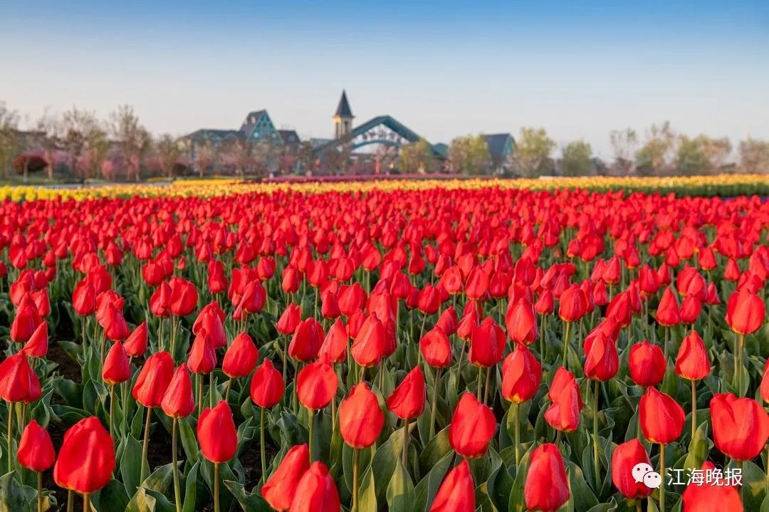 南通已经入春了吗,今年南通什么时候入春