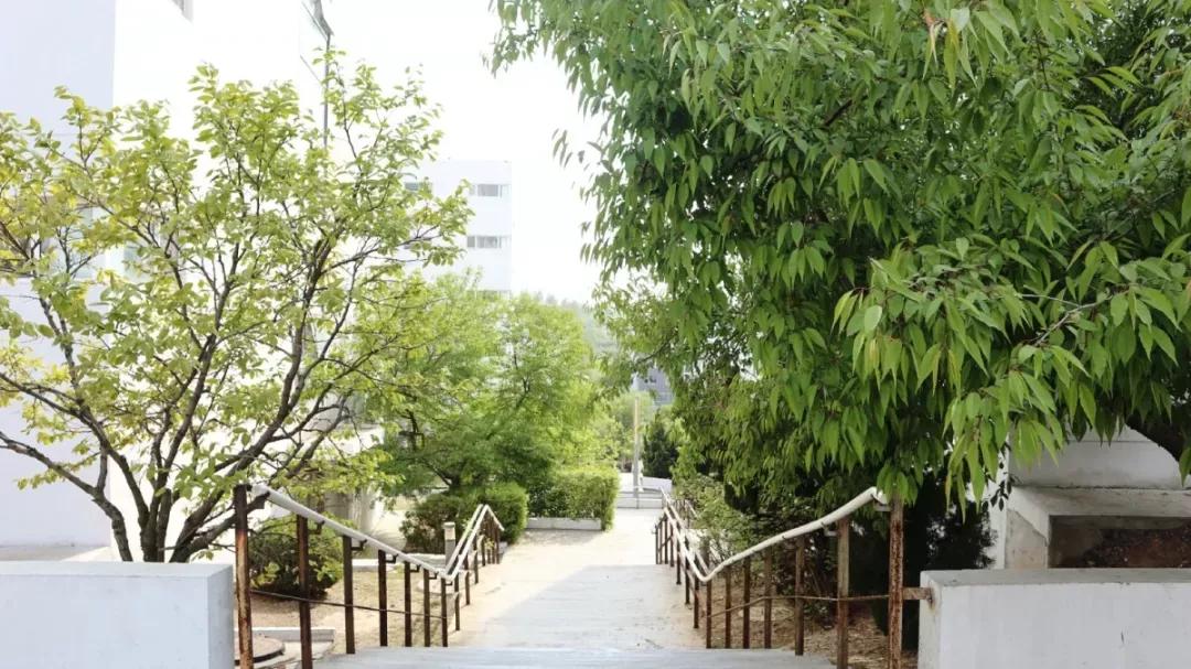 辽宁省高校（三十一）大连医科大学