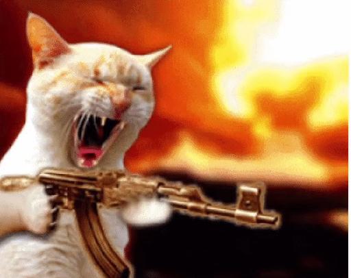 饮水机出了一只蟑螂怎么办,饮水机接出来的蟑螂能活多久