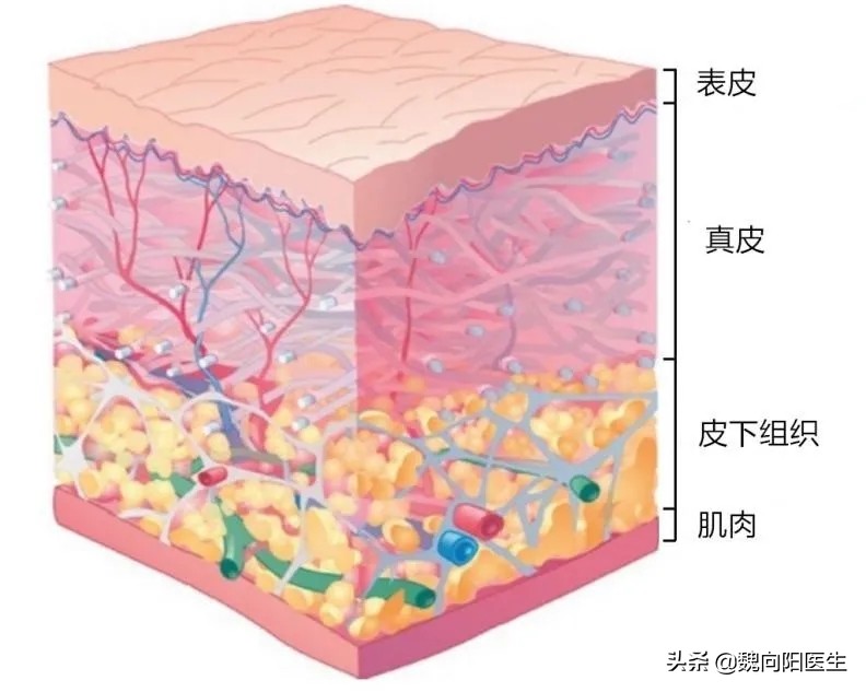 一型糖尿病怎样使用胰岛素最科学,最新糖尿病常用胰岛素一览表