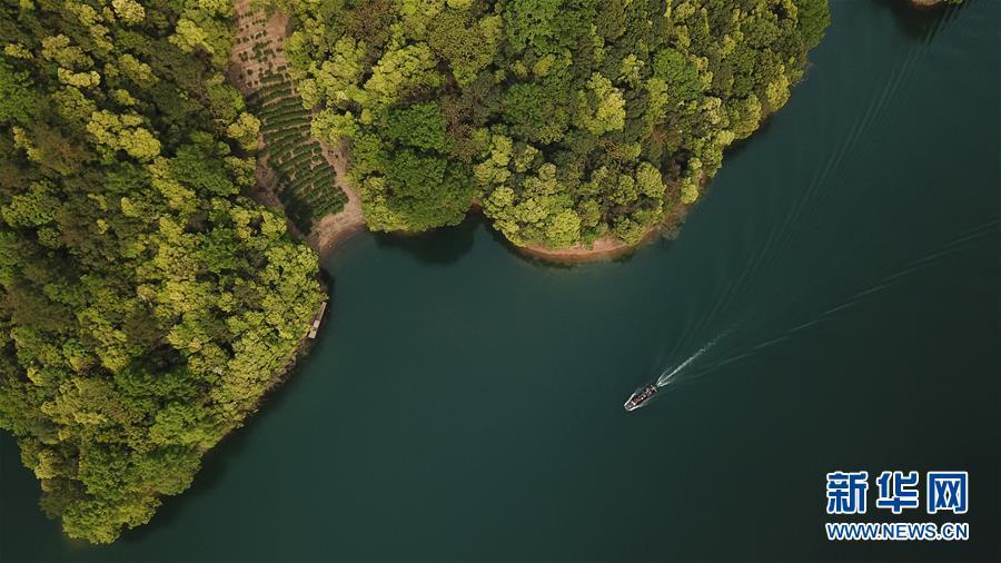 太平湖风光全景,太平湖森林公园