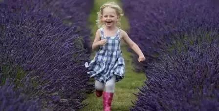 美翻了无锡这个紫色花海,美翻诸城这片花海刷爆整个朋友圈