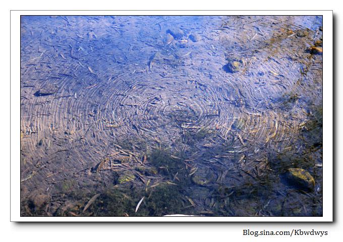 生活杂记|济南章丘百脉泉（20111212）