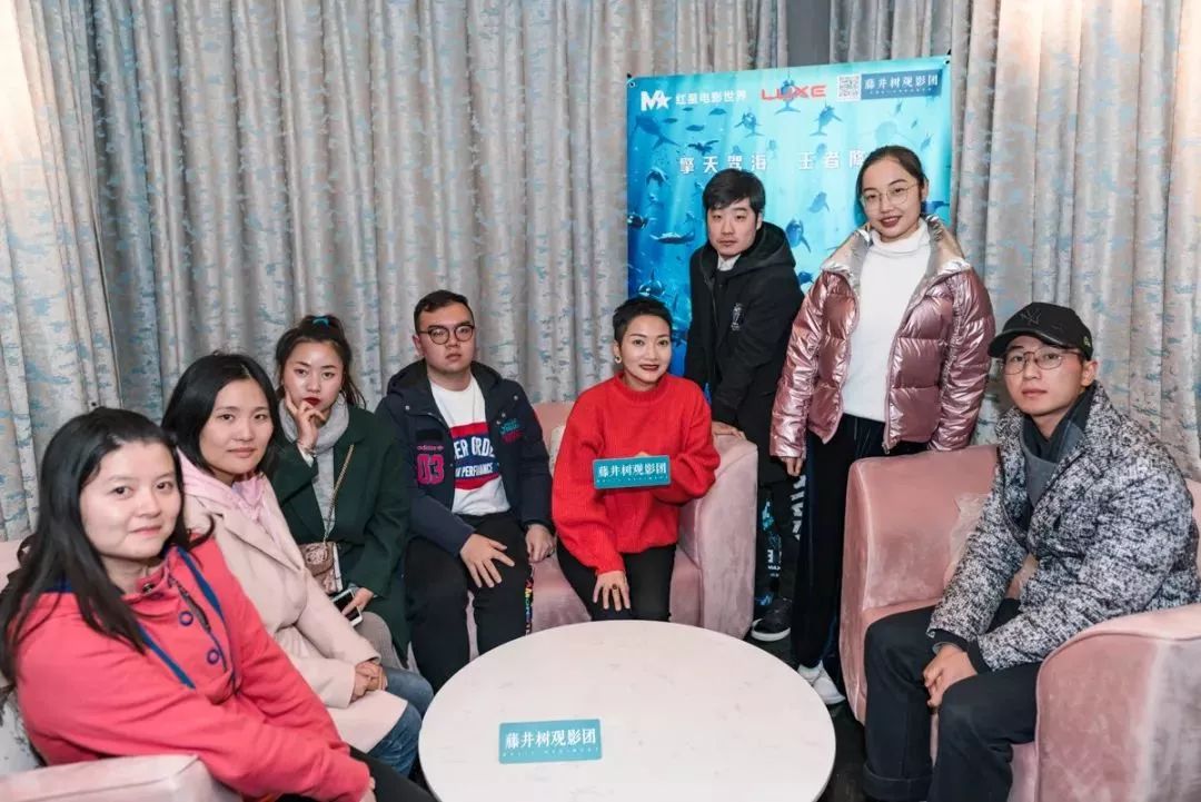 藤井树哪个电影最好看,藤井树观影团公司在哪里