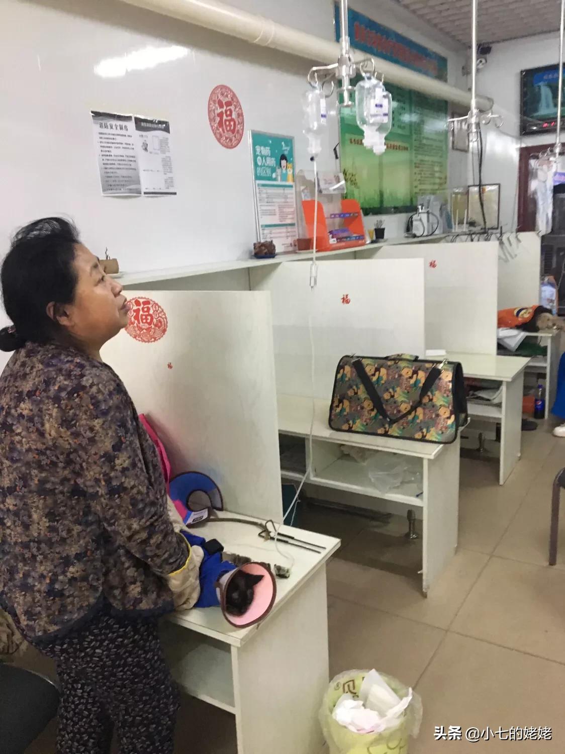 进退两难我们怎么办,进退两难有什么办法