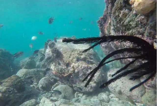 广东有哪些海岛值得去,广东附近的海岛海滩推荐