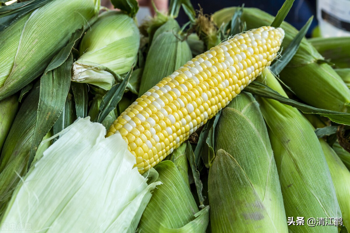 种子质量标准包括哪些,种子质量有问题造成减产怎么处理