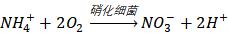 硝化细菌如何判断养好了,硝化细菌培养的好不好怎么看