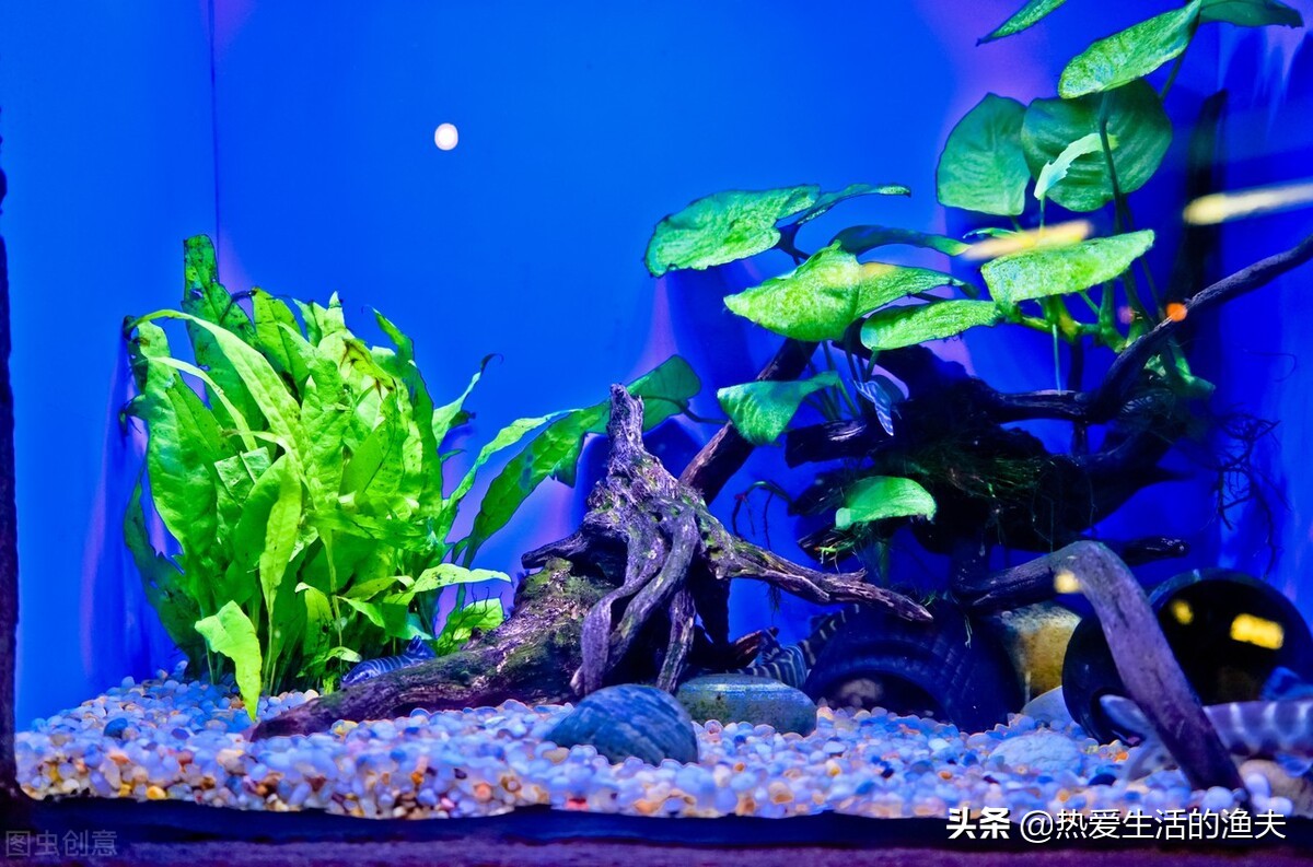 鱼缸上滤滴流盒三层滤材搭配,鱼缸底滤滴流系统图解